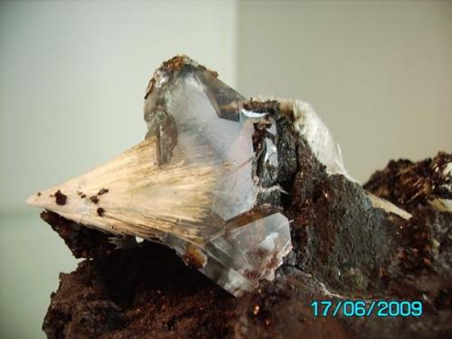 Celestina fibrosa metida en un cristal de yeso
Minas Pilar de Jaravia   sierra del Aguilón  Almeria
año 1997
taaño cristal 3,5cms (Autor: Gelo)