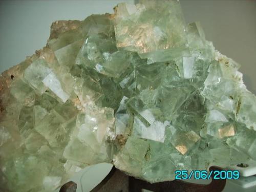 Fluorita 
China
año 2008
Cristal más grande 3,5cms.de arista. (Autor: Gelo)