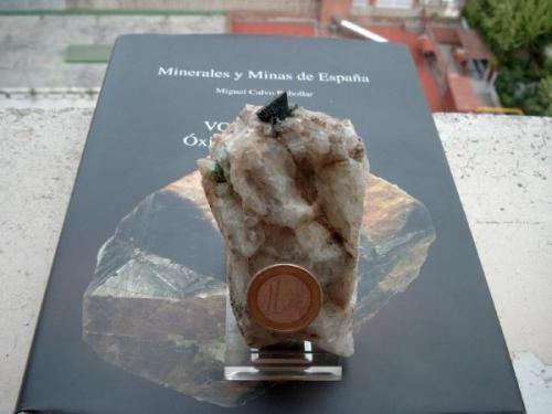 Capturada por mi futura  ...... viuda en Agoto 2000 en la escombrera de la mina antes de que pusieran el sismografo o lo que sea. (Autor: Ignacio)