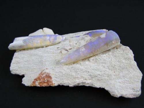 Ópalo (Belemnites opalizados)
Coober Pedy (Australia)
10 x 6 x 3 cm
84 gr (Autor: Granate)