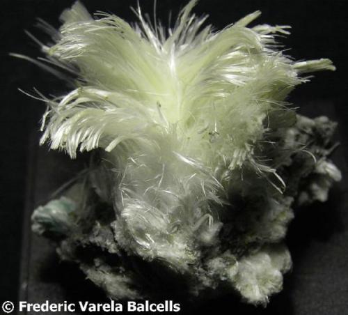 Halotriquita. Benahadux (Almeria) 5 x 5 cm.
(Foto elegida como una de las 10 imágenes de minerales más espectaculares del Foro)
http://www.foro-minerales.com/forum/viewtopic.php?t=2311 (Autor: Frederic Varela)