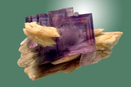 Pequeña muestra de "La Cabaña" con el "zonado" característico  en el interior de los cristales de fluorita. Arista del cristal 3 cm.
Foto: J. R. García (Autor: JRG)