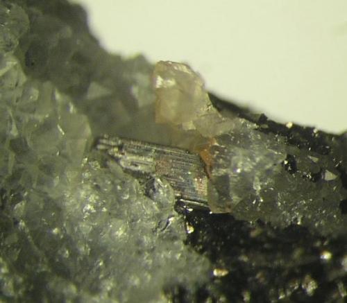 Freieslebenita. Cristal de 5 mms. Mina La Fuerza, Hiendelaencina, Guadalajara (Autor: Adrian Pesudo)