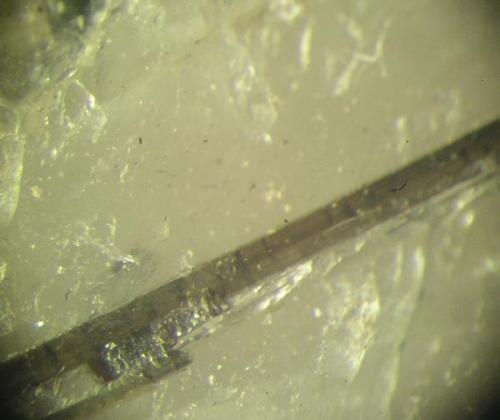 Dravita. Cristal de 1 cm. junto con el almandino aparecieron en la zona sur-este a dos Kms del pueblo. (Autor: Adrian Pesudo)