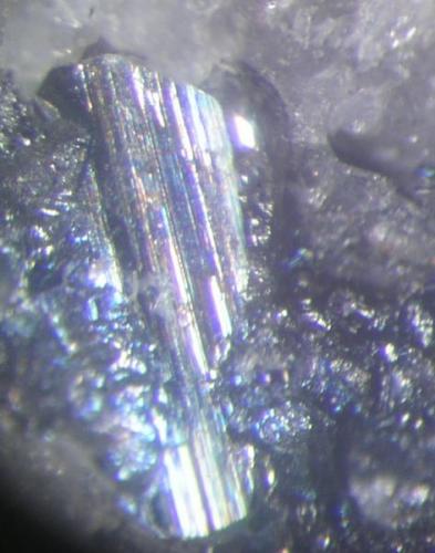 Cristal de freieslebenita de 4 mms.  Mina La Fuerza, Hiendelaencina, Guadalajara (Autor: Adrian Pesudo)