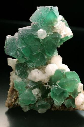 Cristales de fluorita octaédrica verde sobre cuarzo, procedente de la zona de Riemvasmaak, cercana a la población de Pella en la provincia sudafricana de Cabo Norte. Dimensiones 14 x 10 cm.
Foto: J. R. García (Autor: JRG)