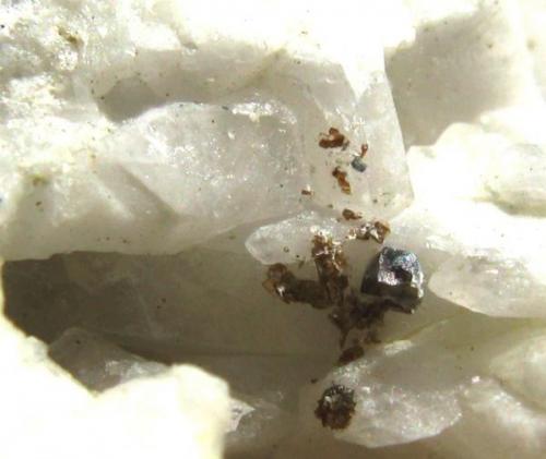 Anatasa sobre cuarzo. Cantera Maciñeira. Pontes de García Rodríguez. La Coruña.
Tamaño del cristal 1 mm. (Autor: Jose Luis Otero)