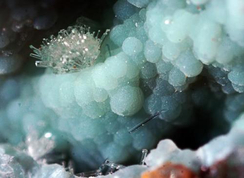 Wulfenite and Malachite.
Saindak Cu Deposit, Chagai, Baluchistan, Pakistan.
110 x 65 mm (Author: nurbo)