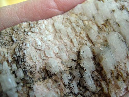 Detalle de algunos cristales de albita (Autor: usoz)