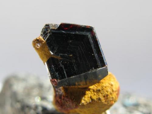 Rutilo. Kinyanfumbe. Zambia.
Tamaño 20x10 mm. (Autor: Jose Luis Otero)