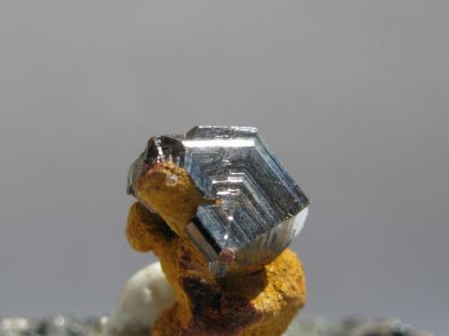 Rutilo. Kinyanfumbe. Zambia.
Tamaño 20x10 mm. (Autor: Jose Luis Otero)