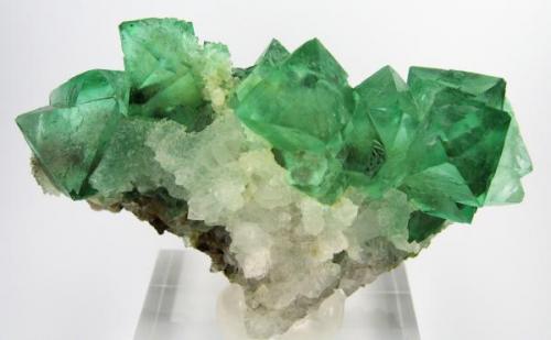 Fluorita, cuarzo
Riemvasmaak, Gordonia District, Namaqualand, Northern Cape Province, Sudáfrica. (Autor: Carles Millan)