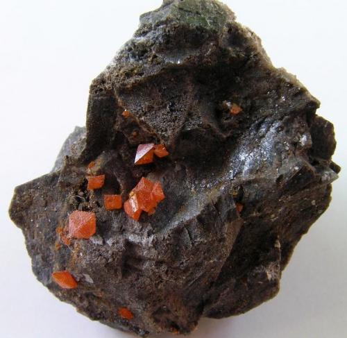 Wulfenita.
Mina Melissa, Trigo Mts., La Paz Co., Arizona, EE.UU.
Tamaño de la pieza 3,5x3x2 cm.
Cristales hasta 4 mm. Col. y foto Nacho Gaspar. (Autor: Nacho)