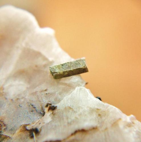 Pirosmalita
Mina Monchi, Burguillos del Cerro, Badajoz, Extremadura, España.
cristal 4 mm (Autor: Nieves)