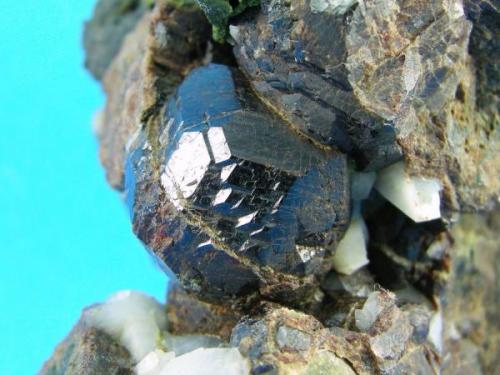Granate + Cuarzo + Epidota + Magnetita
Minas de Cala - Cala - Huelva - Andalucía - España
Detalle del cristal  de 2.5 cm (Autor: Diego Navarro)