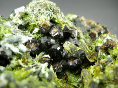 Granate ( Var Melanita ) + Clinozoisita + Titanita
Hondón de los Frailes - Alicante - Comunidad Valenciana - España
Detalle (Autor: Diego Navarro)