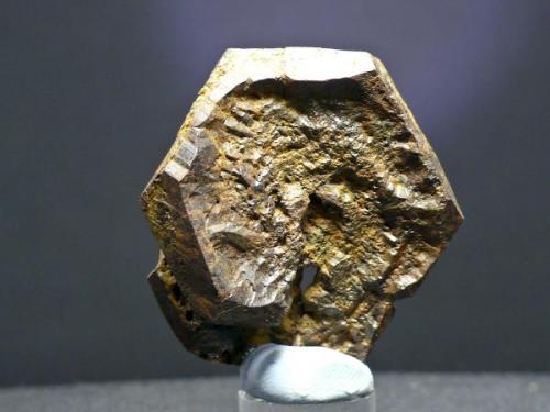 Piritoedro - Zona de Jarapalos - Alhaurín el Grande - Málaga
Cristal de 5 x 5 cm. (Autor: El Coleccionista)