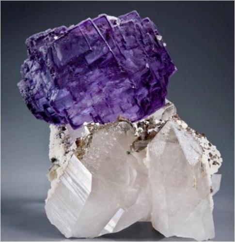 This piece has a 6 cm multiple stepped purple rimmed fluorite sitting on 2 perfect Quartz crystals.  In the valley between are some small dark brown Scheelites. There is also a small chalcopyrite on the back side. This measures 11.3 x 9 x 5 cm and is from Yaogangxian Mine, Hunan Province, China (Author: VRigatti)