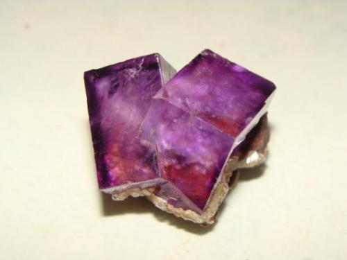 fluorite.
from: Ojuela mine, Mapimi Durango Mexico.
size: 3.5 cm. (Author: javmex2)