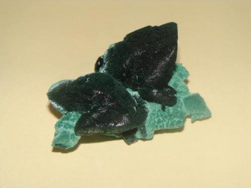 malachite pseudomorphs.
from: Milpillas Sonora Mexico.
size: 5cm (Author: javmex2)