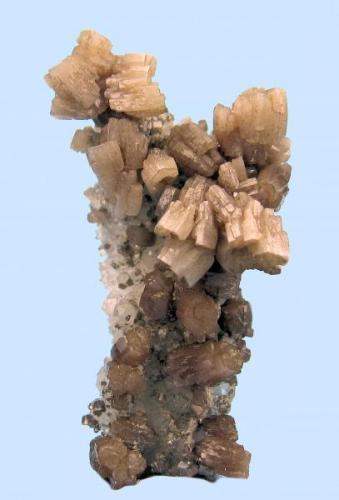 Piromorfita, cuarzo
Braubach, Bad Ems District, Rheinland-Pfalz, Alemania
49 mm de altura x 30 mm de anchura

Mejor en persona (Autor: Carles Millan)