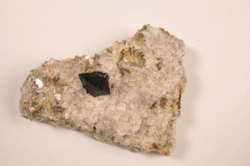 Casiterita
Mina de Penouta, Viana do Bolo, Orense (Galicia). Pieza 8x6, Cristal 2x1 (Autor: bolesminerales)