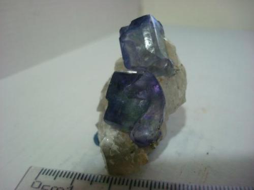 fluorite bicolor.
Naica Chihuahua Mexico.
Year: 2005 (Author: javmex2)
