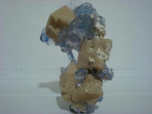Naica Chihuahua Mexico.
This piece is a group of calcite of 7.5 cm with spinel twinned fluorite crystals of 1cm some smaller and others larger, the largest measuring 1.5cm
Year:2007 (Author: javmex2)