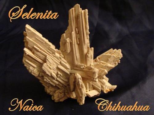 Gypsum.
size:6x9cm.
Naica, Chihuahua, Mexico. (Author: javmex2)