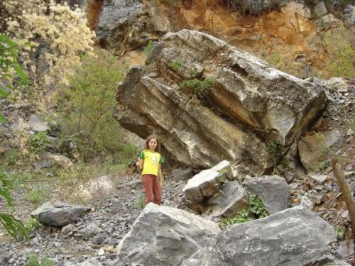 Cantera de piedra caliza con sílex y estromatolitos para el museo. Córrego Fundo, MG, Brasil

Pedreira de calcário con sílex e estromatólitos para o museu. Córrego Fundo, MG, Brasil (Autor: Anisio Claudio)