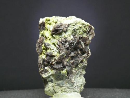 Axinita - Cantera La Juanona - Antequera - Málaga
Pieza de 7 x 5 cm. cristal mayor 1 cm. (Autor: El Coleccionista)