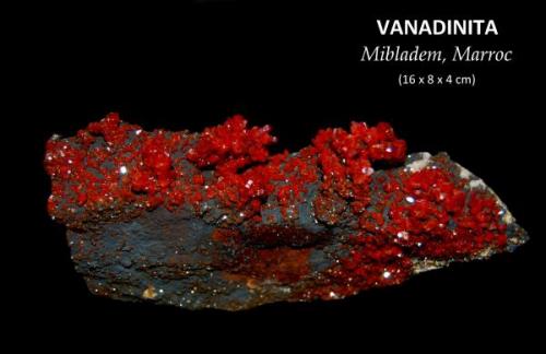 VANADINITA
Mibladen, Midelt, Marruecos
TAMAÑO: 16 x 8 x 4 cm (Autor: Marc C)