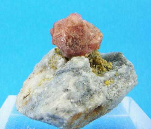 Espinela rosa
Sierra de Mijas - Málaga - Andalucía - España
Cristal de 2.5 cm (Autor: Diego Navarro)