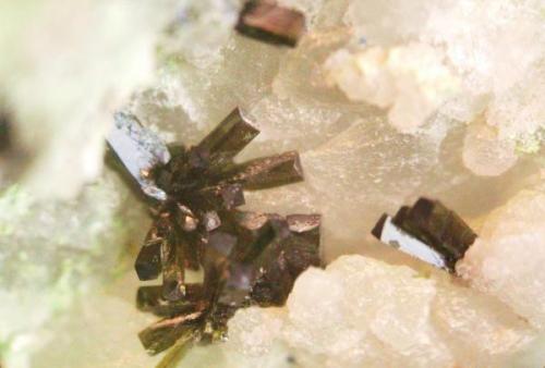 Olivenita
Cerro las Cocotas, Tijola, Almeria, Andalucía, España.
cristales 2 mm (Autor: Nieves)