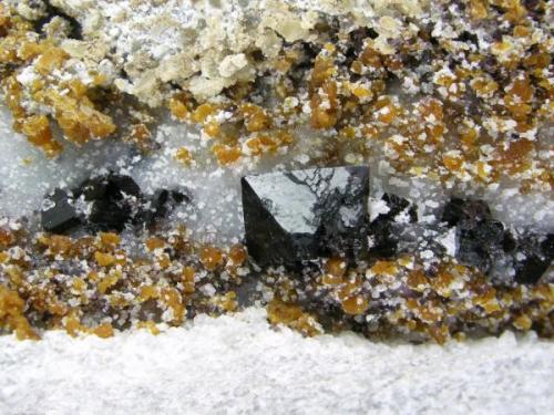 Espinela ( Pleonasto ) + Clinohumita
Sierra de Mijas - Málaga - Andalucía - España
Cristal principal de 1cm (Autor: Diego Navarro)