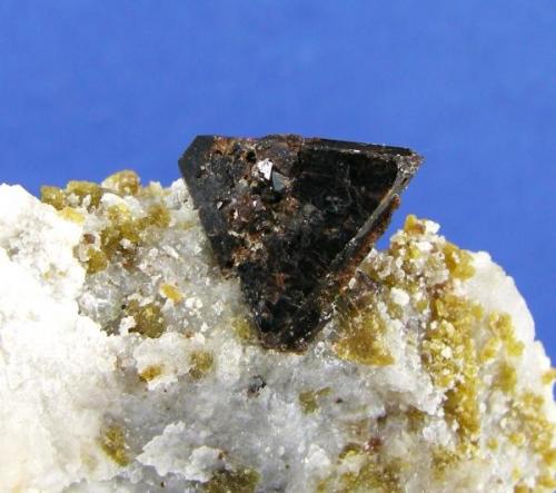 Espinela ( Pleonasto ) + Clinohumita
Sierra de Mijas - Málaga - Andalucía - España
Cristal de 1.2 cm (Autor: Diego Navarro)
