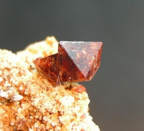 Espinela Rubí
Sierra de Mijas - Málaga - Andalucía - España
Cristal de 0.6 cm (Autor: Diego Navarro)