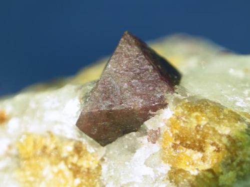Espinela + Clinohumita
Sierra de Mijas - Málaga - Andalucía - España
Cristal de 0.7 cm (Autor: Diego Navarro)