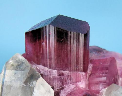 Elbaite, quartz, feldspar, schorl.
Male, about 80 km south of Mogok, Sagaing District, Mandalay Division, Burma (currently Myanmar)
61 mm x 60 mm x 52 mm. Main elbaite crystal: 17 mm wide, 20 mm tall

Close-up view (Author: Carles Millan)