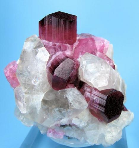 Elbaite, quartz, feldspar, schorl
Male, about 80 km south of Mogok, Sagaing District, Mandalay Division, Burma (currently Myanmar)
61 mm x 60 mm x 52 mm. Main elbaite crystal: 17 mm wide, 20 mm tall (Author: Carles Millan)