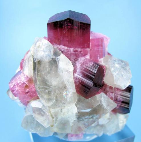 Elbaite, quartz, feldspar, schorl
Male, about 80 km south of Mogok, Sagaing District, Mandalay Division, Burma (currently Myanmar)
61 mm x 60 mm x 52 mm. Main elbaite crystal: 17 mm wide, 20 mm tall (Author: Carles Millan)