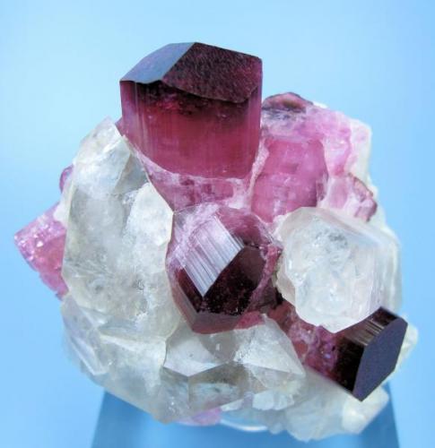 Elbaite, quartz, feldspar, schorl
Male, about 80 km south of Mogok, Sagaing District, Mandalay Division, Burma (currently Myanmar)
61 mm x 60 mm x 52 mm. Main elbaite crystal: 17 mm wide, 20 mm tall (Author: Carles Millan)
