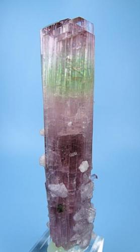 Elbaite, lepidolite, microlite.
Paprok, Kunar Valley, Nuristan Province, Afghanistan
100 mm tall x 24 mm wide in the widest point. Microlite crystal: 5 mm on edge

Side view (Author: Carles Millan)