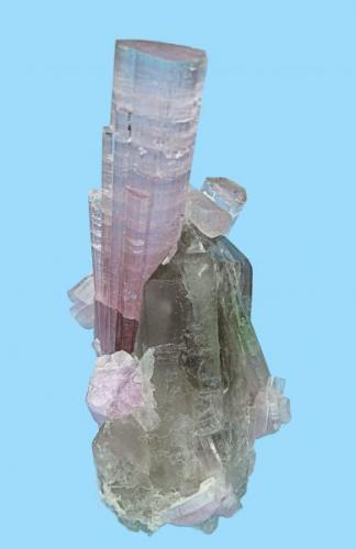 Elbaite, quartz.
Paprok, Kunar Valley, Nuristan Province, Afghanistan
82 mm x 44 mm x 35 mm. Main tourmaline crystal: 59 mm tall, 14 mm wide

Side view (Author: Carles Millan)