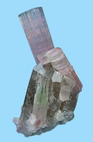 Elbaite, quartz
Paprok, Kunar Valley, Nuristan Province, Afghanistan
82 mm x 44 mm x 35 mm. Main tourmaline crystal: 59 mm tall, 14 mm wide (Author: Carles Millan)
