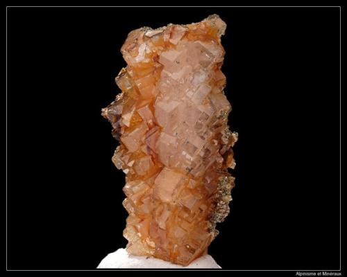 Apatite
Shigar Valley, Pakistan
FOV 8 cm

Interessant stalactite of apatite (Author: ploum)