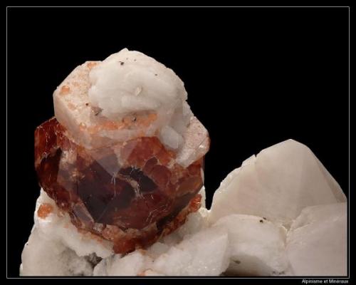 Garnet with apatite and albite
Shigar Valley, Pakistan
Garnet: 3 cm

Matrix is quartz cristal in fact. (Author: ploum)