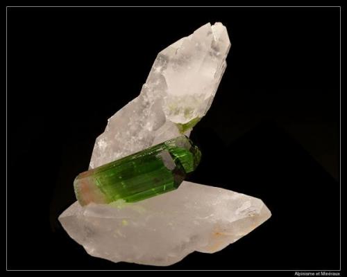 Tourmaline bicolor doubly terminated and quartz doubly terminated
fov 5 cm (Author: ploum)