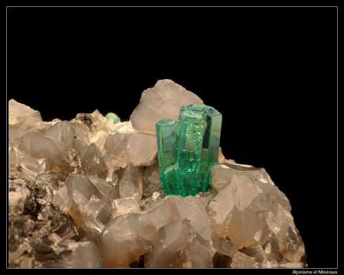 Beryl (variety Emerald)
La Pita Mine, Maripí, Boyacá, Colombia
Size of emerald is 5 mm of lenght.

On calcite.... Found in Munich show 2009.  Small but beautiful, probable i take better next year (the last acquisition) (Author: ploum)