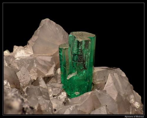 Beryl variety Emerald 
La Pita Mine, Maripí, Boyacá, Colombia
5-6 mm on calcite (Author: ploum)